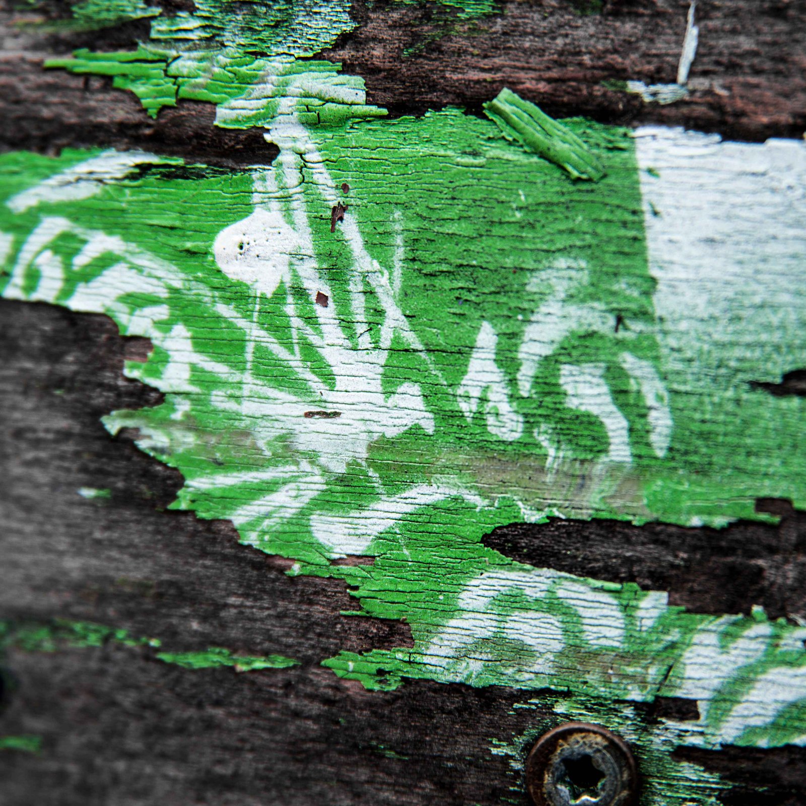 Biodegradable paints in street art